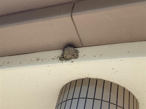 3317699b-606f-4a0b-9116-138f671a11f8