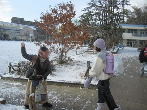 ダウンロード
