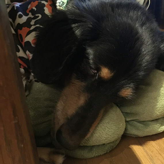 2016-09-05-00-18-14