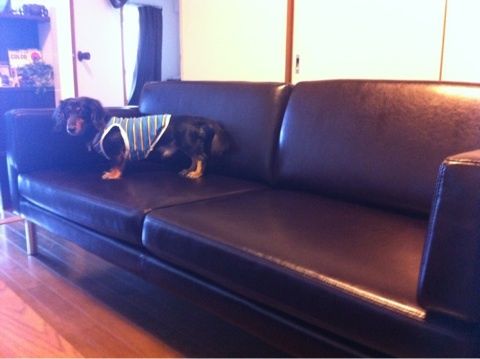 photo:03