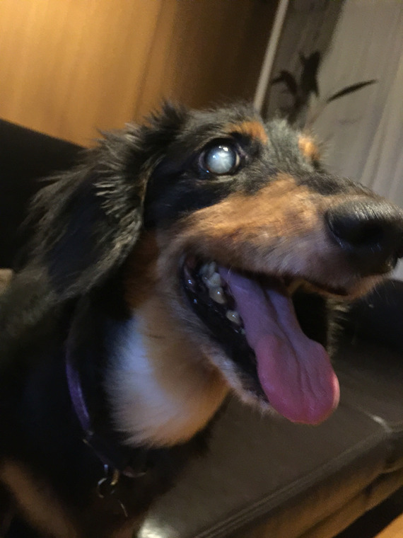 2016-07-25-20-00-05
