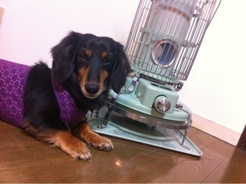 photo:03
