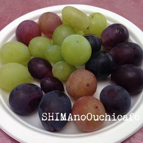 photo:05