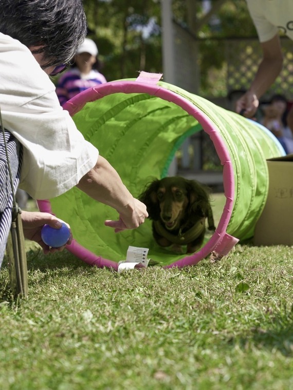 C96157A8-D0C3-4112-A294-0866A3A6CE92_1_105_c