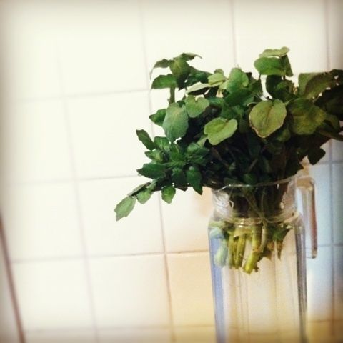 photo:02