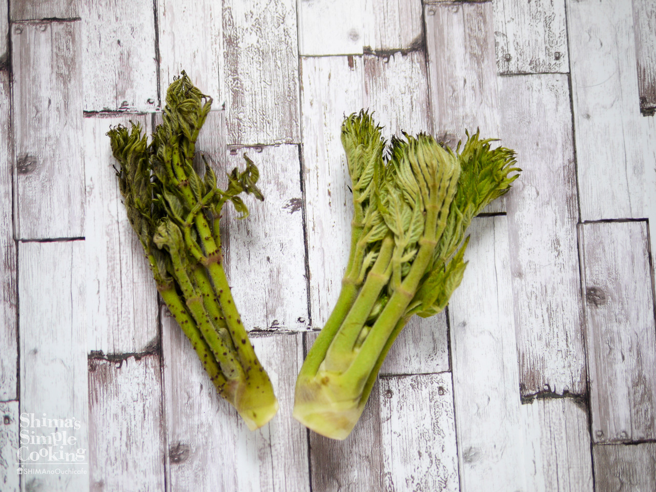 料理の基本 山菜シリーズ タラの芽編 炒めるだけど和えるだけ ２選 タラの芽の味噌マヨサラダ タラの芽のペペロン風炒め 簡単 節約 おしゃレシピ Shimaのオウチカフェ Powered By ライブドアブログ