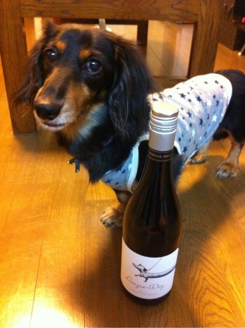 トマトと赤ワインの豚のかく煮エット 簡単 節約 おしゃレシピ Shimaのオウチカフェ Powered By ライブドアブログ トマトと赤ワインの豚のかく煮エット 簡単 節約 おしゃレシピ Shimaのオウチカフェ Powered By ライブドアブログ