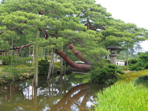 P7270301