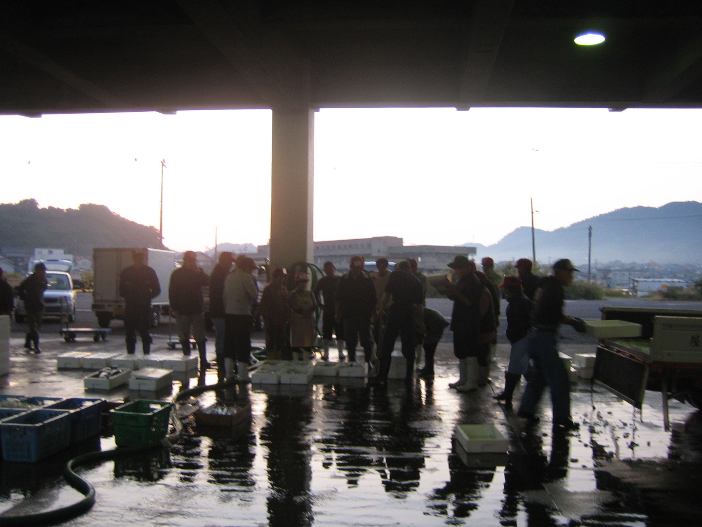 恵曇 えとも 漁港 島大生のブログ