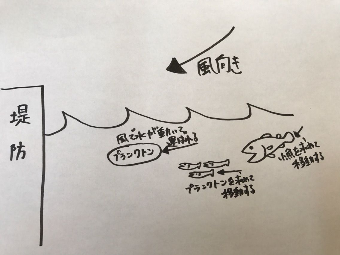 狙いどころは風当たり面 潮当たり面 それを考慮すると効率が良いです いつ以来 タモを使っていないだろう 狙いどころは風当たり面 潮当たり面 それを考慮すると効率が良いです いつ以来 タモを使っていないだろう