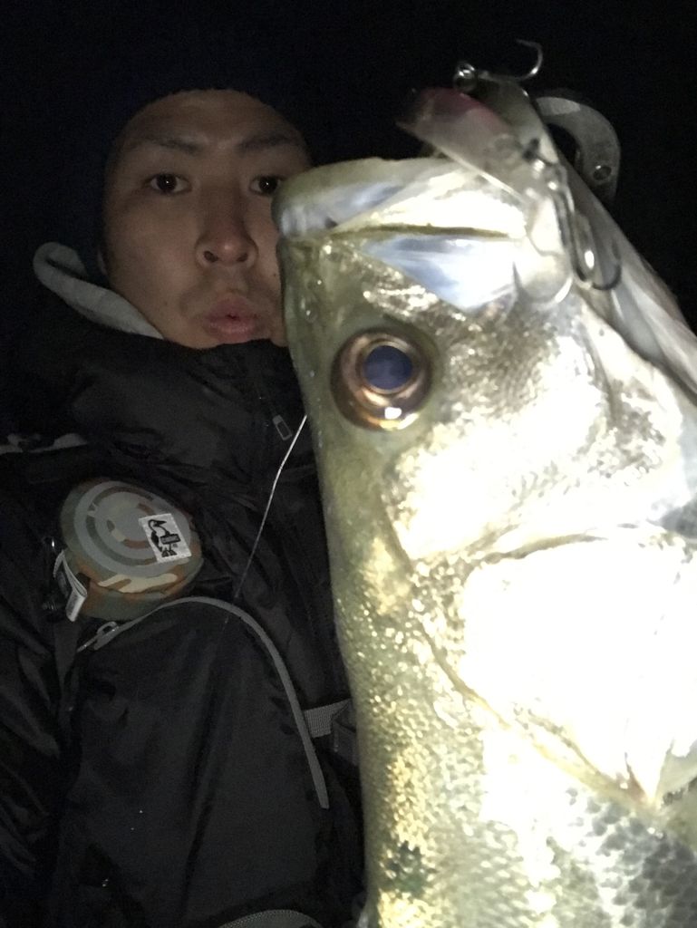 大阪バチ抜けパトロール 三年目の真実 いつ以来 タモを使っていないだろう 大阪バチ抜けパトロール 三年目の真実 いつ以来 タモを使っていないだろう
