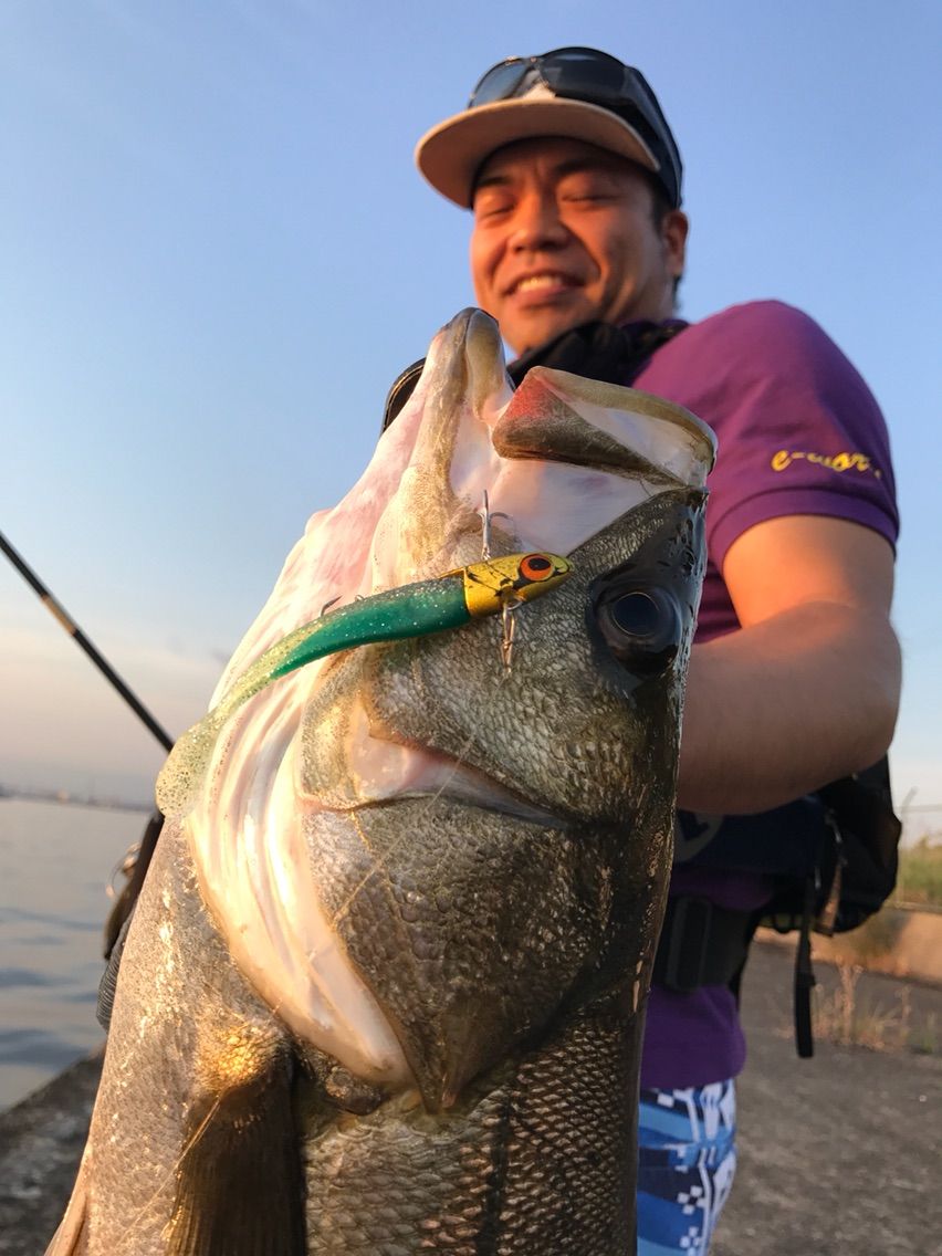 シーバスフィッシングって答え合わせの釣り いつ以来 タモを使っていないだろう