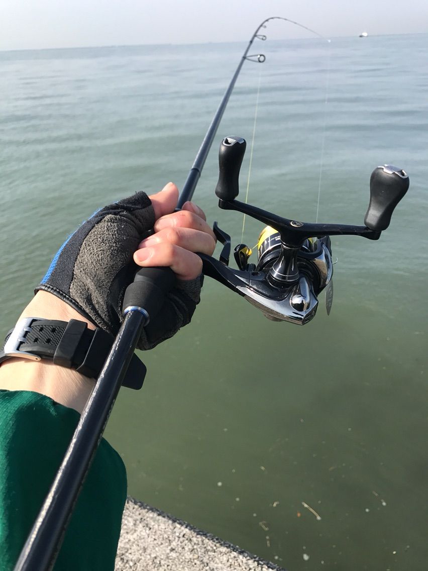 マイクロベイト カタクチイワシ 混在パターン いつ以来 タモを使っていないだろう