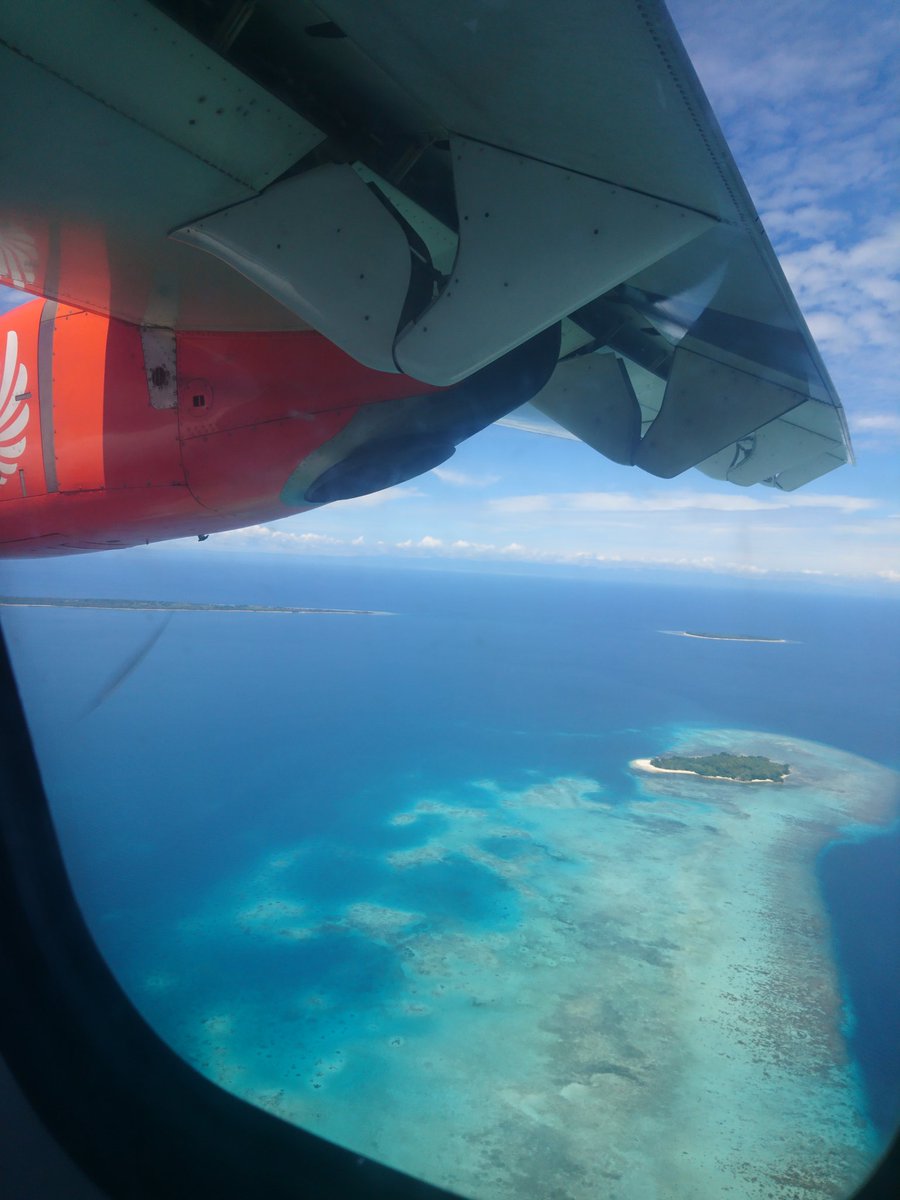 モロタイ島 海と猫の旅 歴史を学ぶ 世界美猫図鑑 モロタイ島 海と猫の旅 歴史を学ぶ 世界美猫図鑑