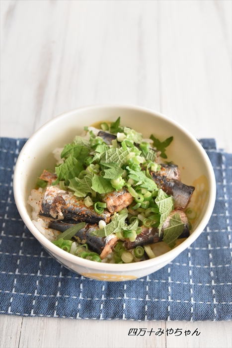 ずぼら飯なのに激ウマ 彼の胃袋をつかめ 男殺し丼 四万十住人の 簡単料理ブログ Powered By ライブドアブログ