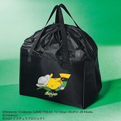 買い物に便利なレジカゴバッグ