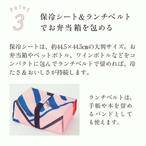 ツモリチサト 猫のおでかけ 保冷バッグ豪華3点セット3