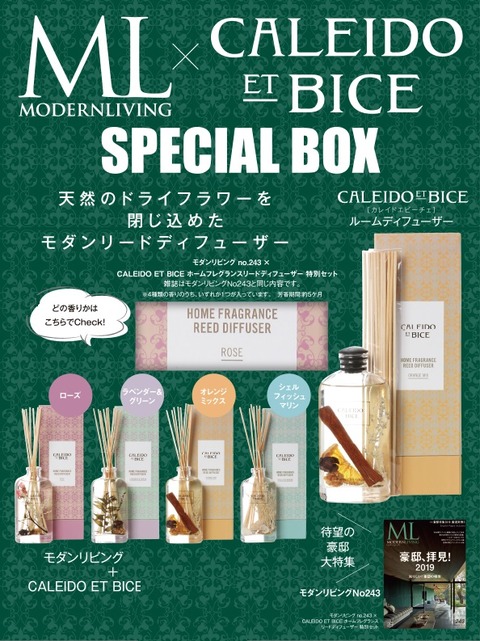 モダンリビング 243 × 特別セット 表紙
