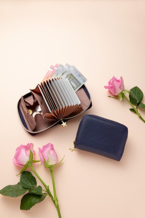 金運師たかみー監修 お金を呼び込む 金運上昇ミニ財布BOOK