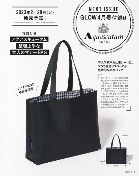 アクアスキュータム 整理上手な大人のマナーBAG