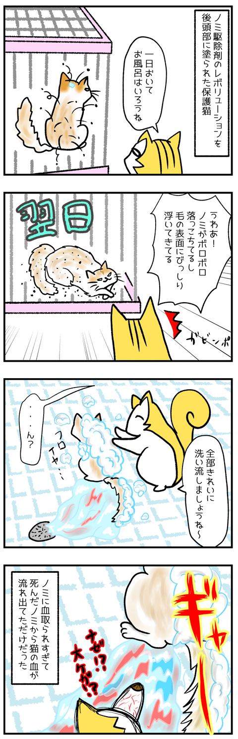 猫のノミ駆除薬 レボリューションって名前かっこいい 意識の低い人類 国立卒のプチひっきー 猫のノミ駆除薬 レボリューションって名前かっこいい 意識の低い人類 国立卒のプチひっきー