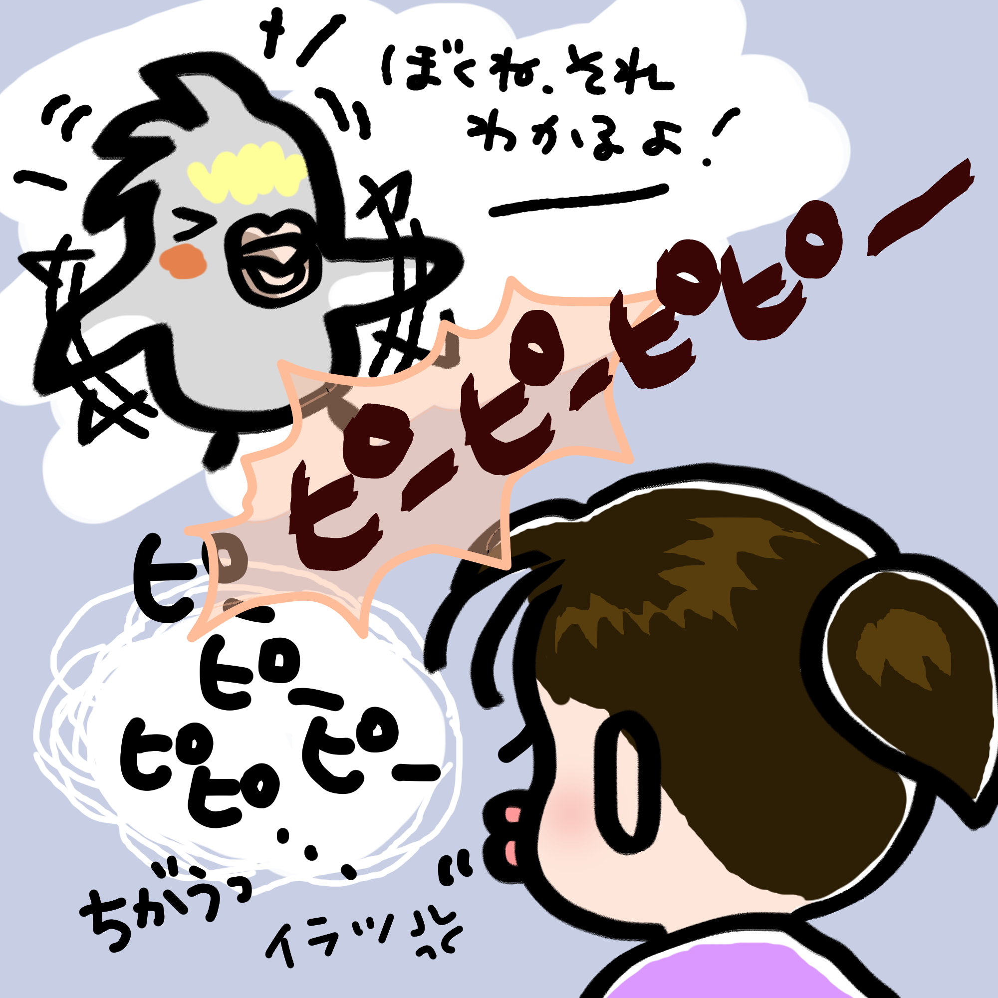 日刊いんこ通信 オカメインコ モカと娘の口笛