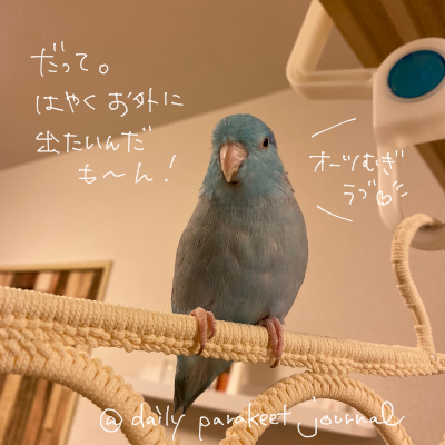 20191225blog05