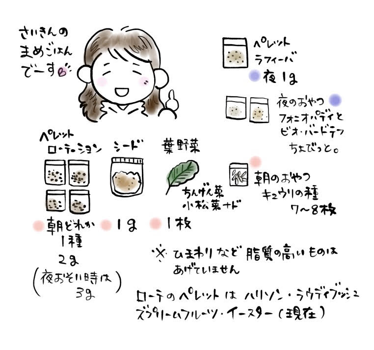 日刊いんこ通信 小鳥のごはん マメルリハまめ 最近のごはん事情 日刊いんこ通信 小鳥のごはん マメルリハまめ 最近のごはん事情