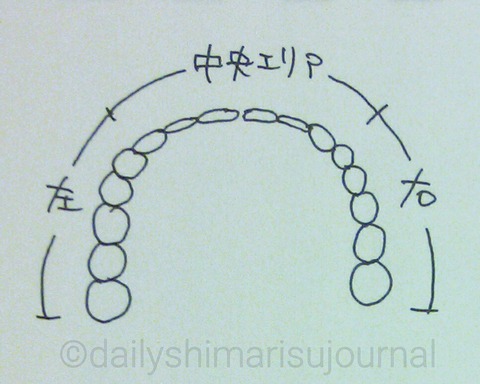 検診で歯磨きを褒められる私が歯について語ってみる ３