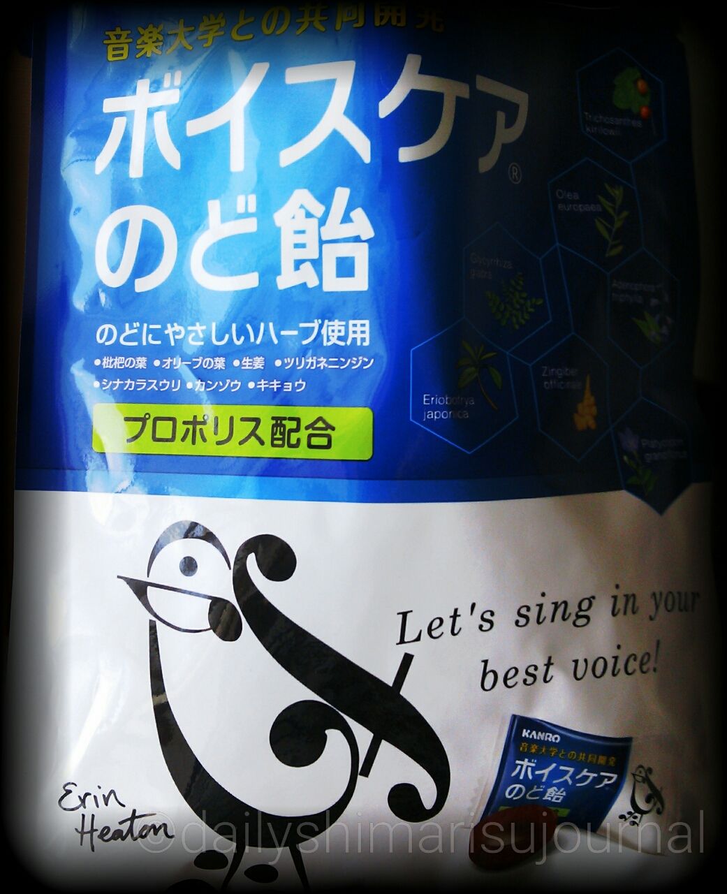 のど飴を求めてまちおかへ ボイスケアのど飴 17年春 日刊しまりす通信 のど飴を求めてまちおかへ ボイスケアのど飴 17年春 日刊しまりす通信