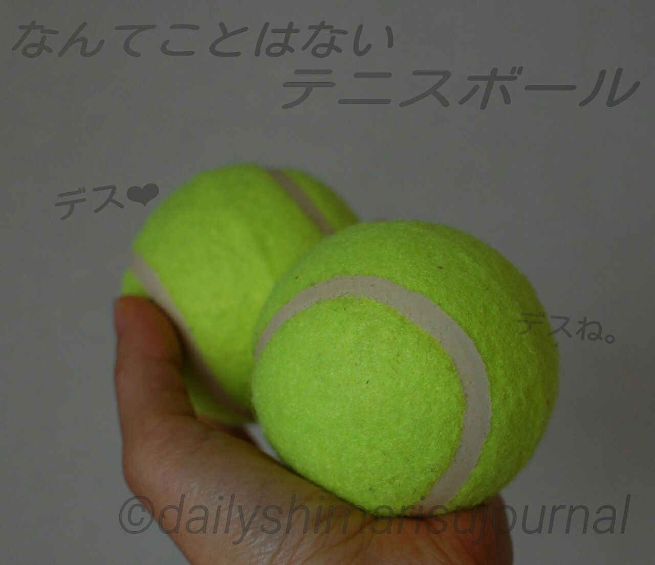 足裏の筋膜リリースの重要性 日刊しまりす通信 足裏の筋膜リリースの重要性 日刊しまりす通信