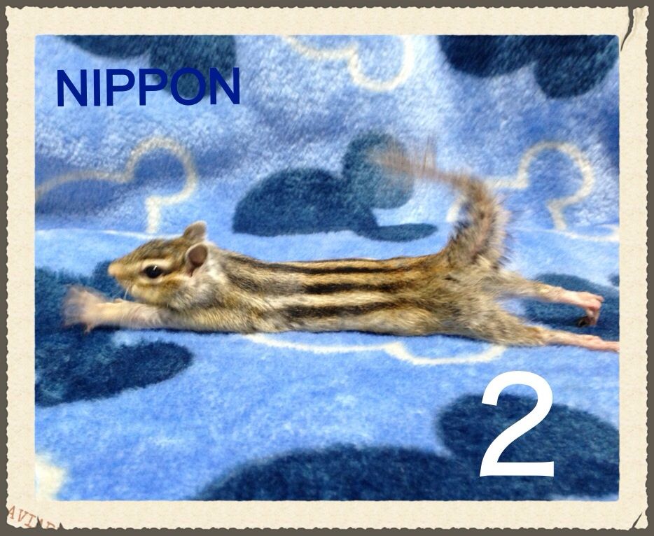 ２円切手 ぷんのちょびっとだけ智くん ちぃ