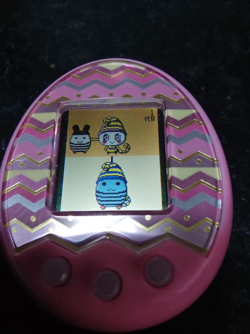 たまごっちみーつのブログ たまごっちみくす しまみみっちの子が激可愛い