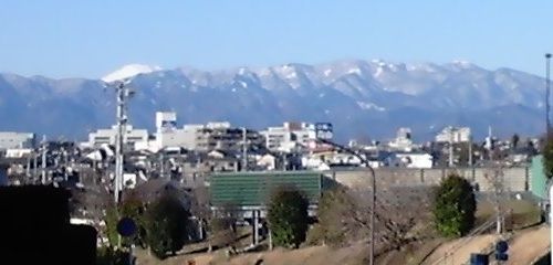 �����٥꡼�⡼�뤫�鸫���ٻλ�