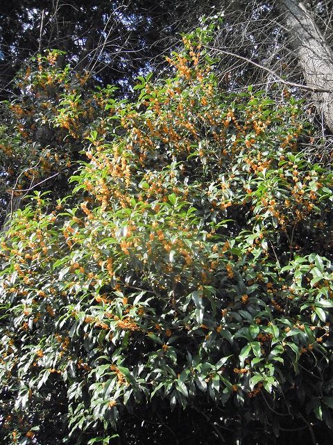 DSCN0368