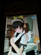 �ޥʥ�����Τ�˫��