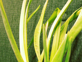 20100426_874971