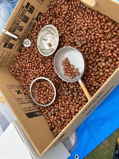 LINE_ALBUM_小さい子プレパ2024925_241010_13