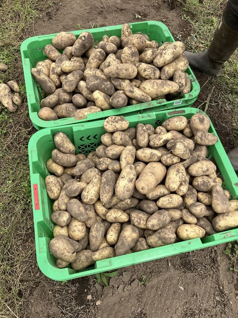 030E6BC9-FE90-46E1-ADC8-097E5288C190