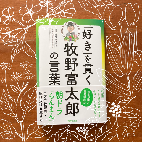 BF2A39C7-00FB-4E6F-8B74-95F362381867