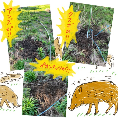 C6A13AD5-784D-46CC-A603-ACDF484D7C02