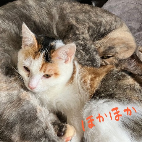 277986B7-C9A0-412A-BB03-AEEE323289D6