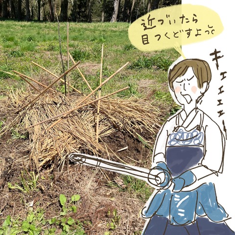 A30EFEE9-F3C2-4C9A-A344-031518208495