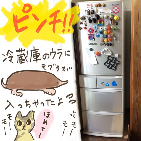 9B2F374C-DADE-41BA-8A08-E9B9D322DC98