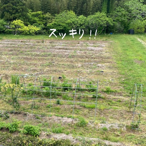 1E92BF4D-70C9-4965-ACC5-5BEDD52B7FA4