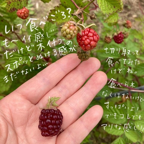 44F81BE2-31AA-4E0B-A474-4878BEE6549F