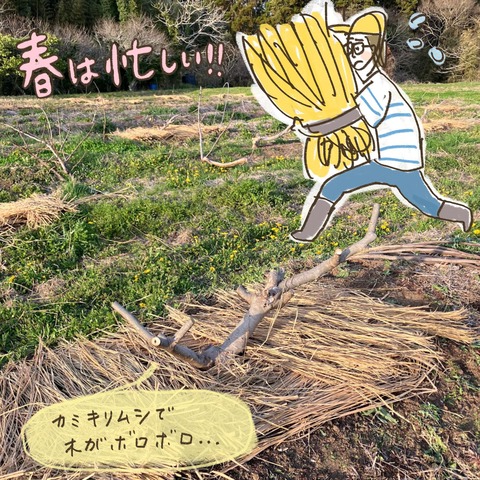 12E052F3-51CB-406D-8609-0C64A9466495