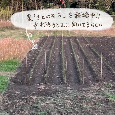 AF4E2DED-48AD-43F1-B97D-F8CFE45261CE