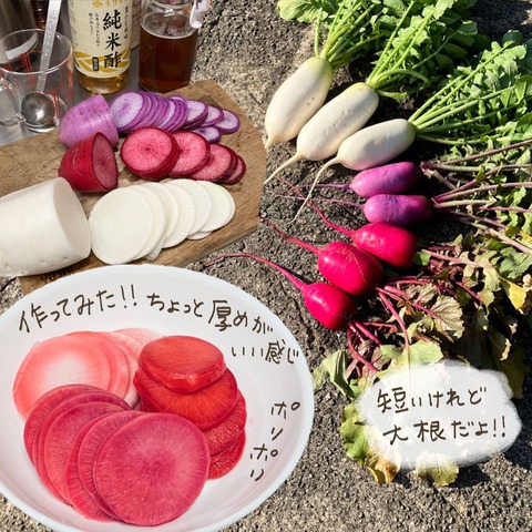 7D22D5D1-A241-4F29-87DC-BBD2CA895C6A