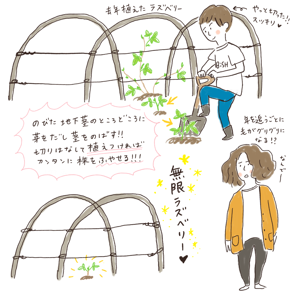 無限ラズベリー はなうた イラストレーター シミキョウ